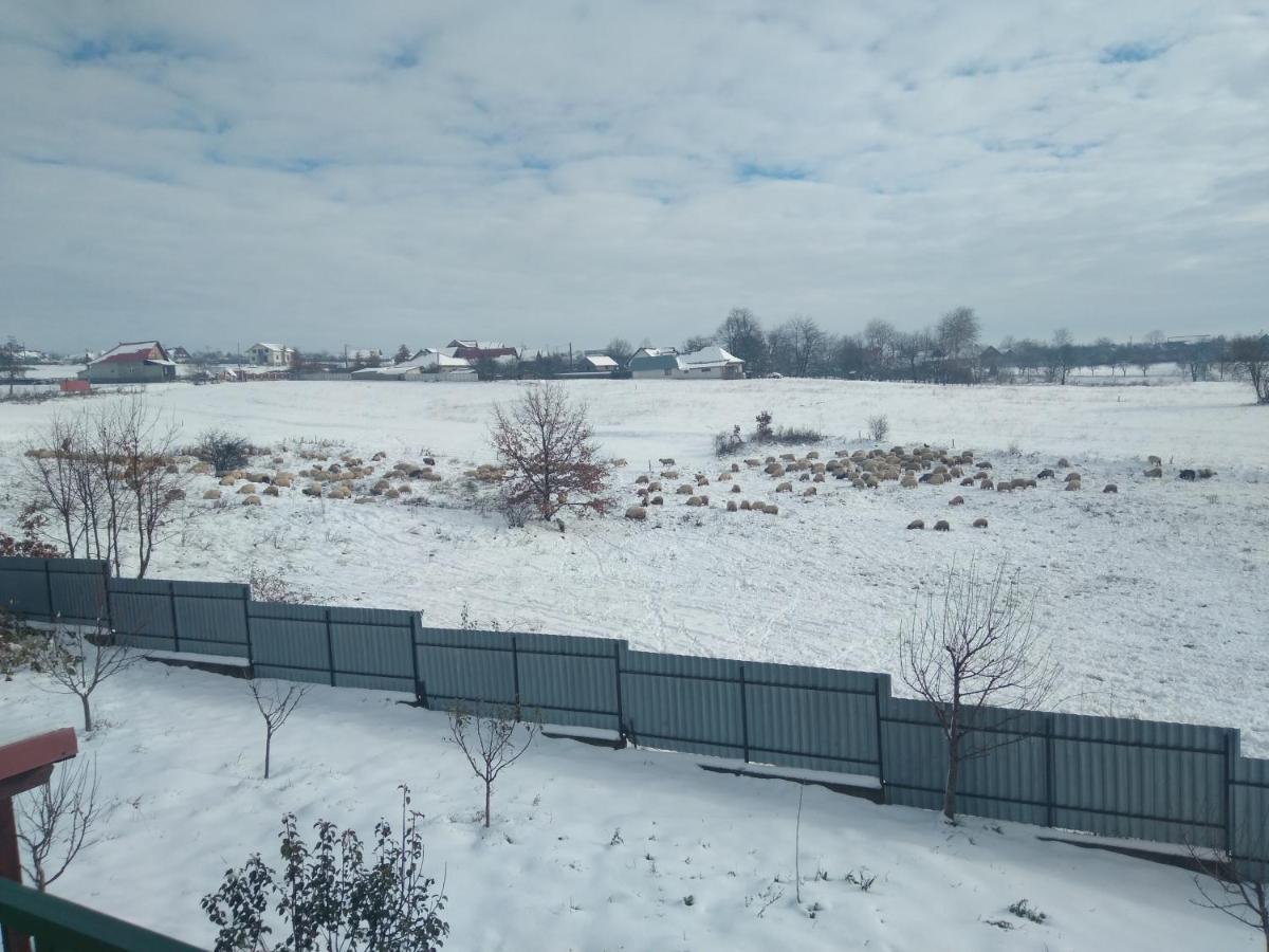 Vila La Capra Vecinului Oglinzi Exteriér fotografie